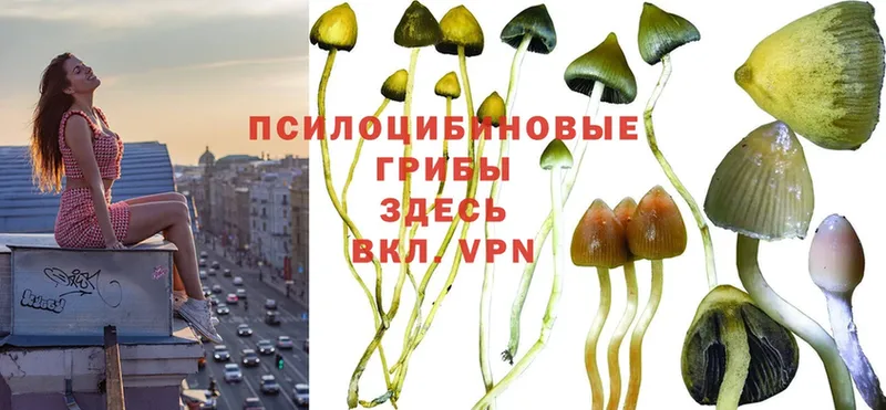 ОМГ ОМГ ссылка  Великие Луки  Псилоцибиновые грибы Magic Shrooms  даркнет сайт 